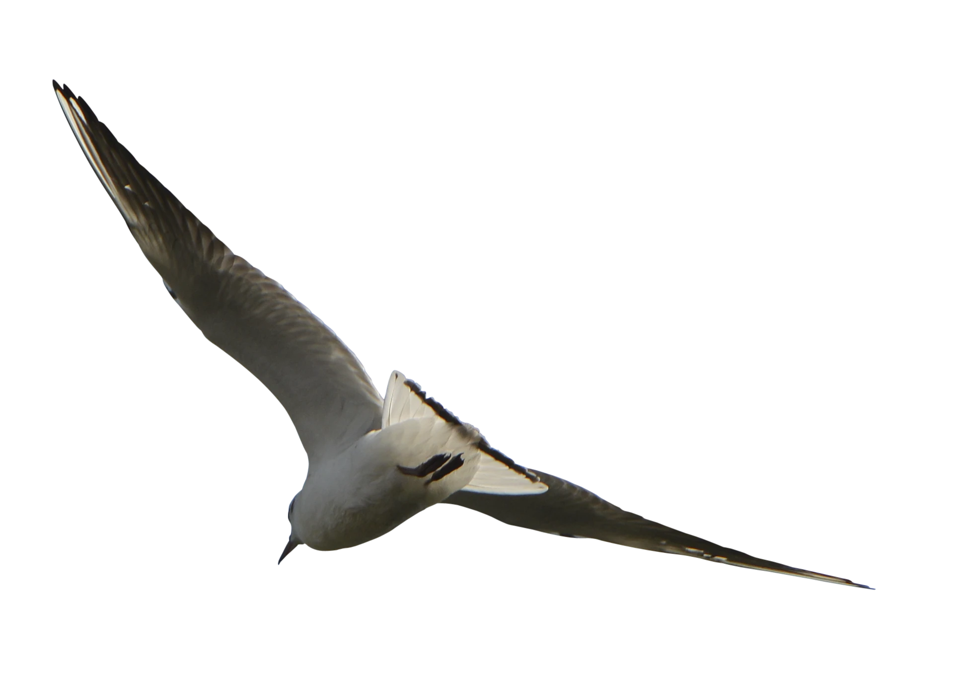 486 — Скачать