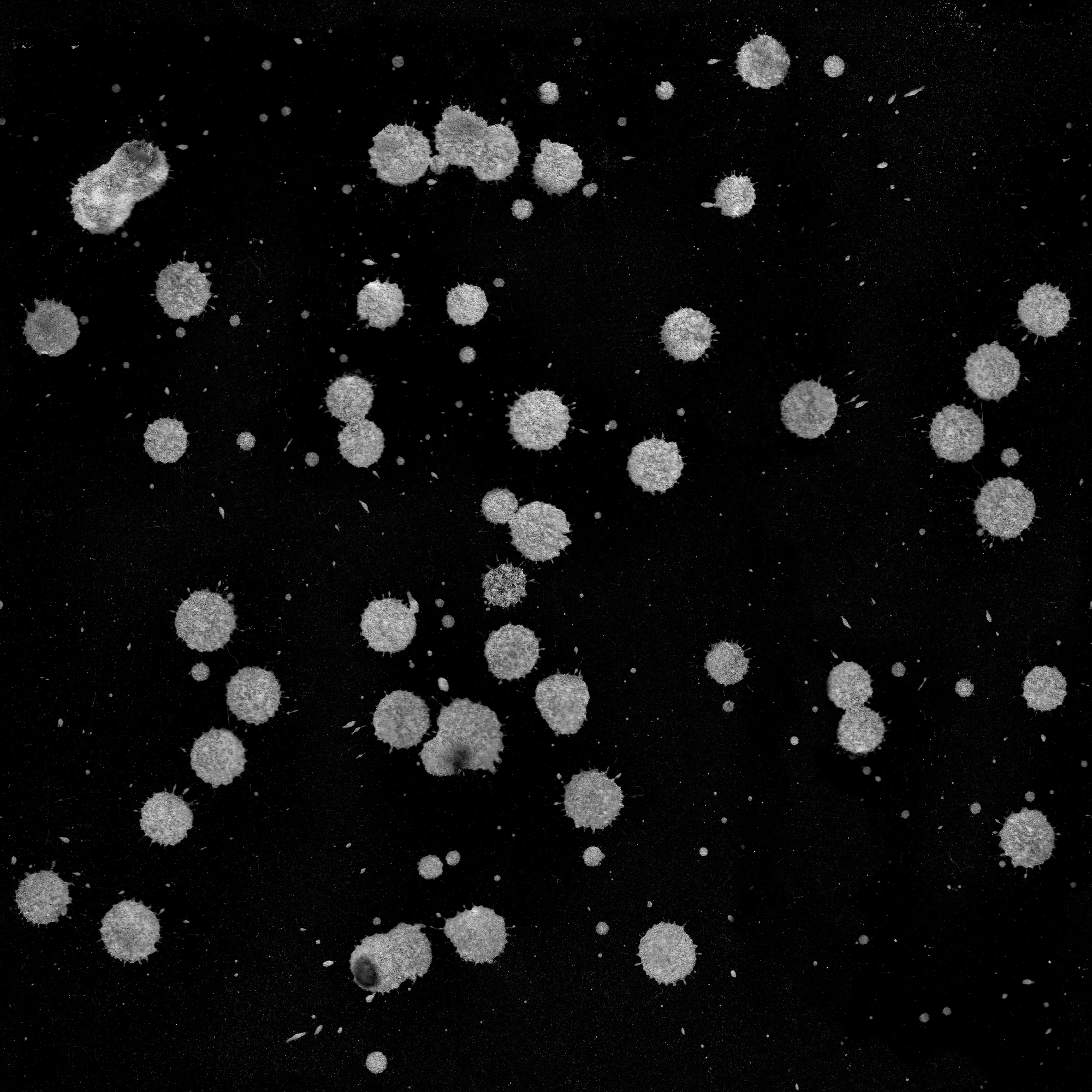 grunge 023 — Download